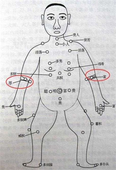 左手小臂有痣|痣的位置透露出這些訊息！上手臂有痣不乏追求者、手。